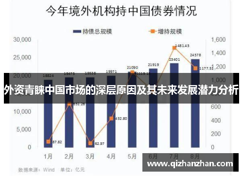 外资青睐中国市场的深层原因及其未来发展潜力分析