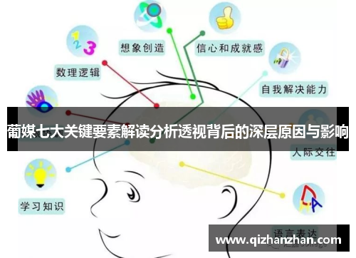 葡媒七大关键要素解读分析透视背后的深层原因与影响